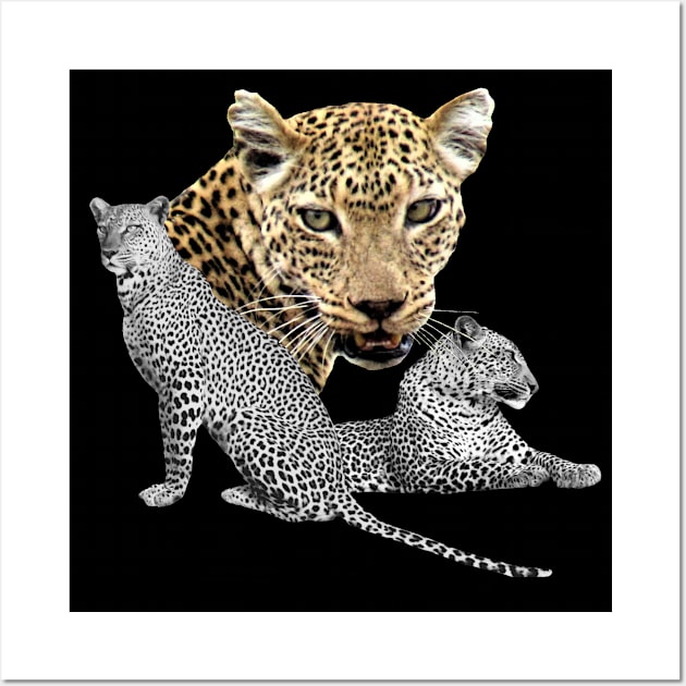 Leopard in Africa Wall Art by T-SHIRTS UND MEHR